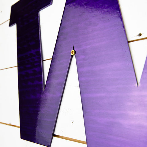 University of Washington Huskies Metal Wall Art