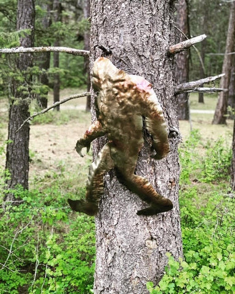 Bigfoot Metal Wall Art