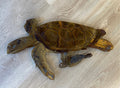 Turtle Metal Wall Art