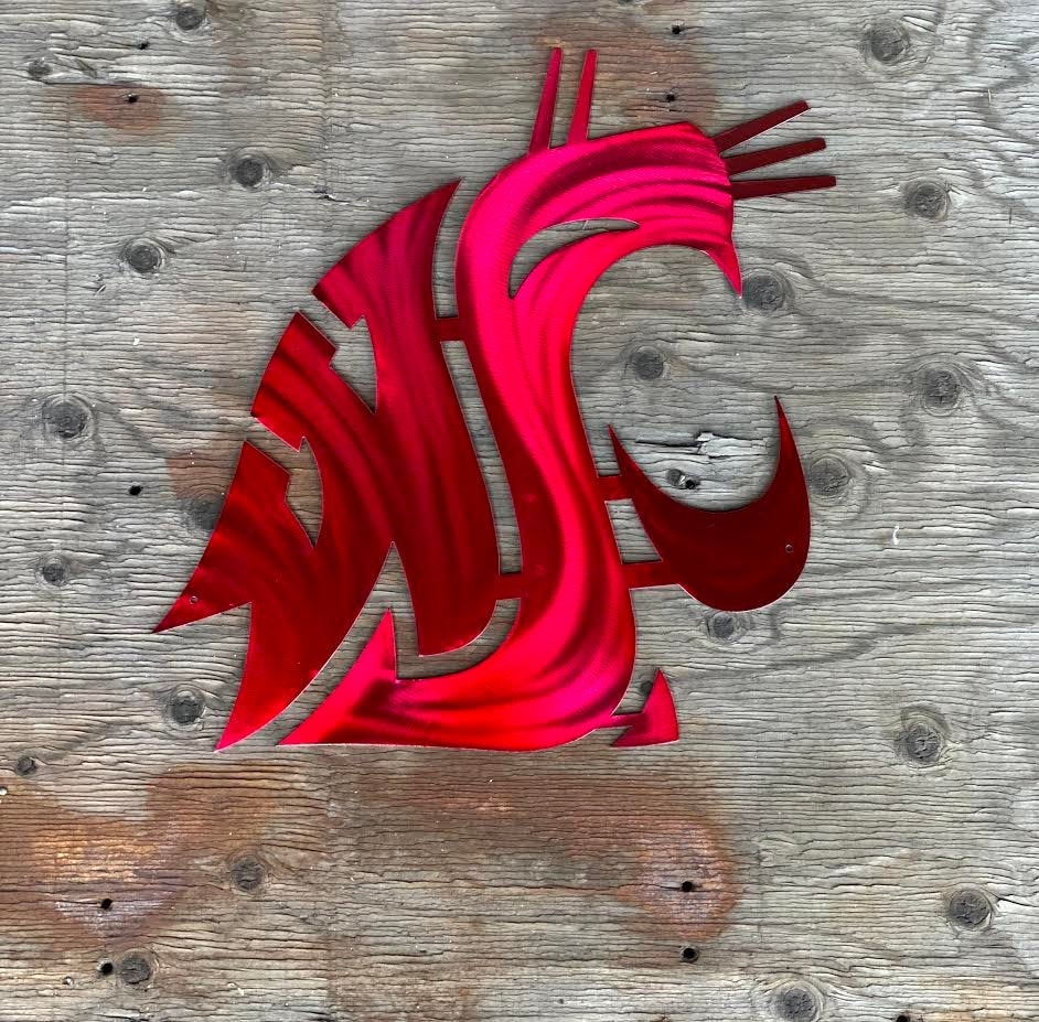Washington Cougars Metal Wall Art